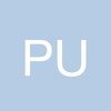 priproject